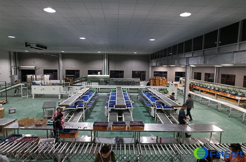 images/1669883673752plum grader.jpg